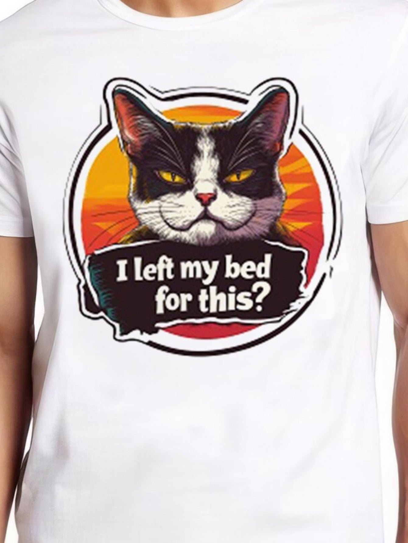 Men's Graphic T-Shirt I Left My Bed For This Grumpy Cat With Retro Sunset Graphic Cat